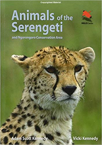 Animals-of-the-Serengeti-And-Ngorongoro-Conservation-Area