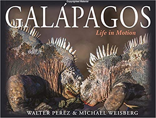 Galápagos-Life-in-Motion