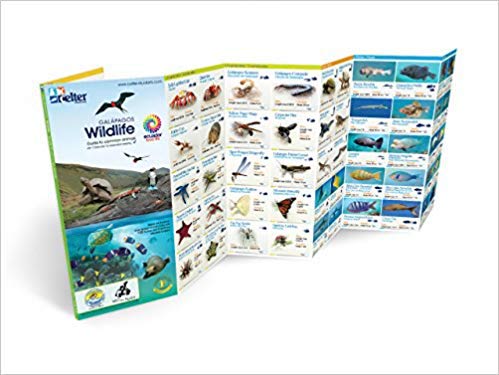 Galápagos-Wildlife-Field-Guide,-New-and-Updated-Version-Guide