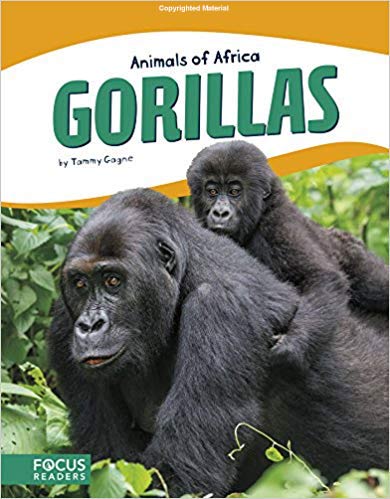 Gorillas-Kids-Book