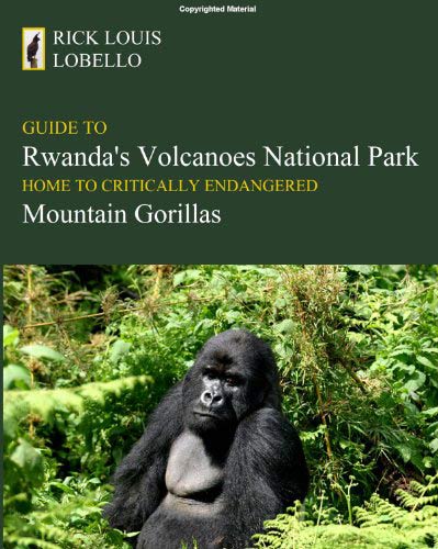 Guide-to-Rwanda's-Volcanoes-National-Park,-Home-to-Critically-Endangered-Mountain-Gorillas-Guide