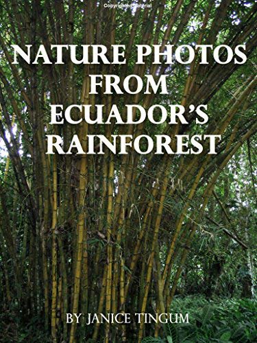 Nature-Photos-from-Ecuador’s-Rainforest