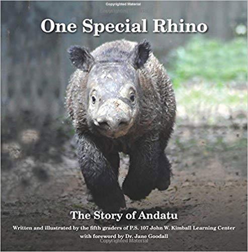 One-Special-Rhino-The-Story-of-Andatu
