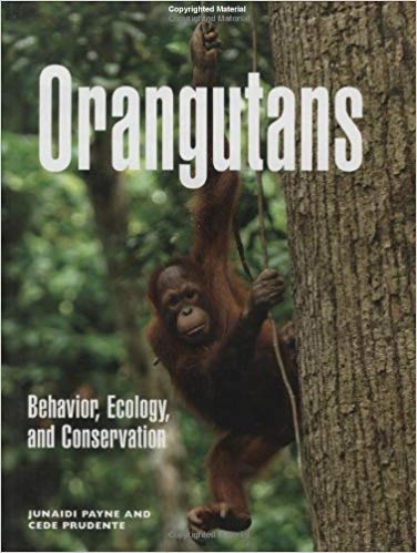 Orangutans-Behavior,-Ecology,-and-Conservation