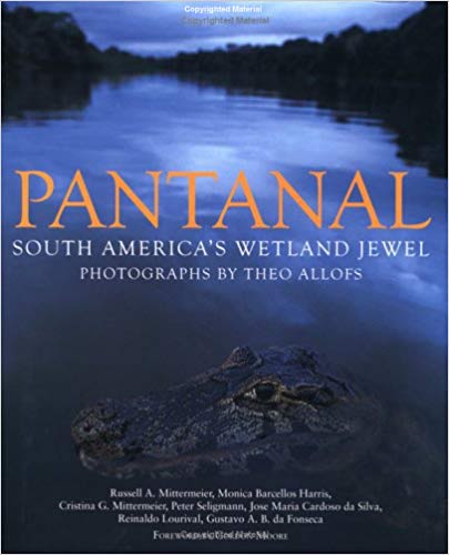 Pantanal-South-America's-Wetland-Jewel