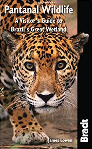 Pantanal-Wildlife-A-Visitor's-Guide-To-Brazil's-Great-Wetland