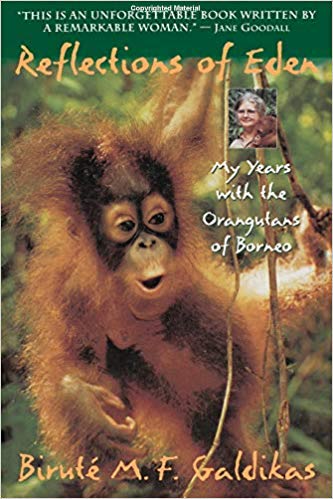 Reflections-of-Eden-My-Years-with-the-Orangutans-of-Borneo