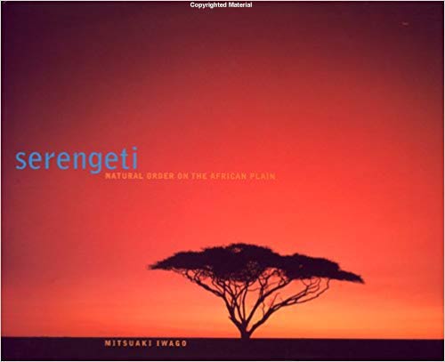 Serengeti-Natural-Order-on-the-African-Plain