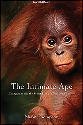 The-Intimate-Ape-Orangutans-and-the-Secret-Life-of-a-Vanishing-Species