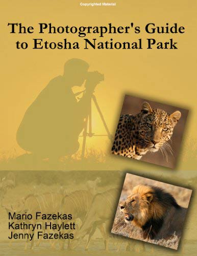 The-Photographer's-Guide-to-Etosha-National-Park-Guide