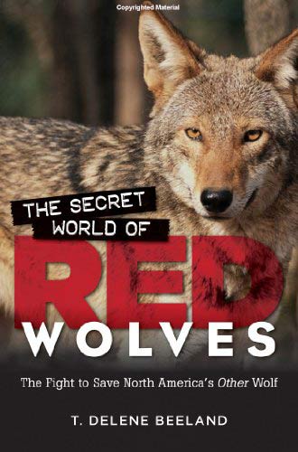 The-Secret-World-of-Red-Wolves-The-Fight-to-Save-North-America's-Other-Wolf