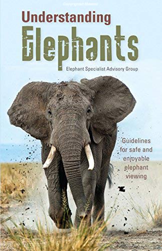 Understanding-Elephants