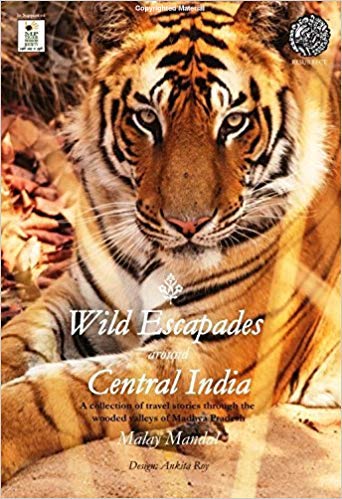 Wild-Escapades-around-Central-India