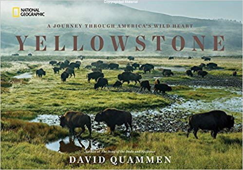 Yellowstone-A-Journey-Through-America's-Wild-Heart