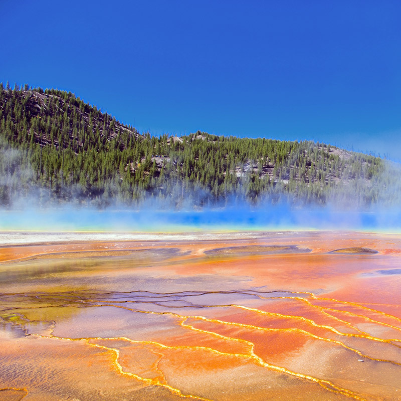 Geothermal Activity in Yellowstone National Park